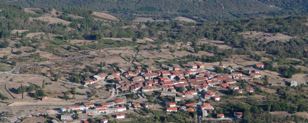 
            Фотография Пинедас