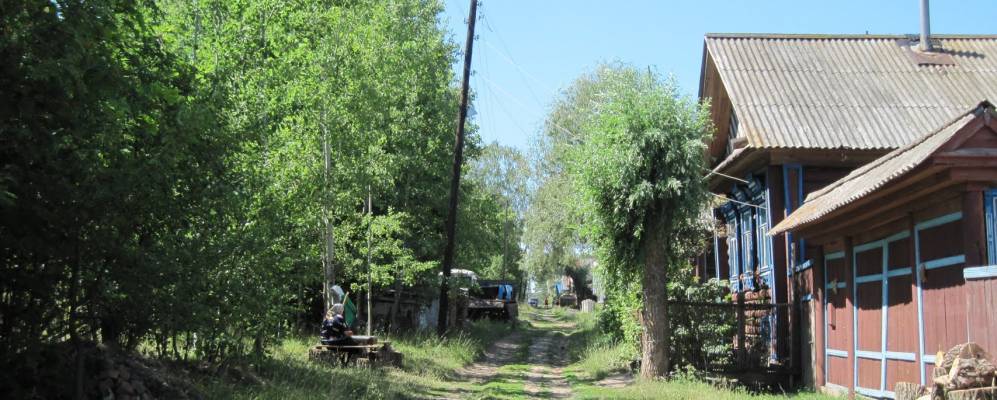 
            Фотография Мишкино