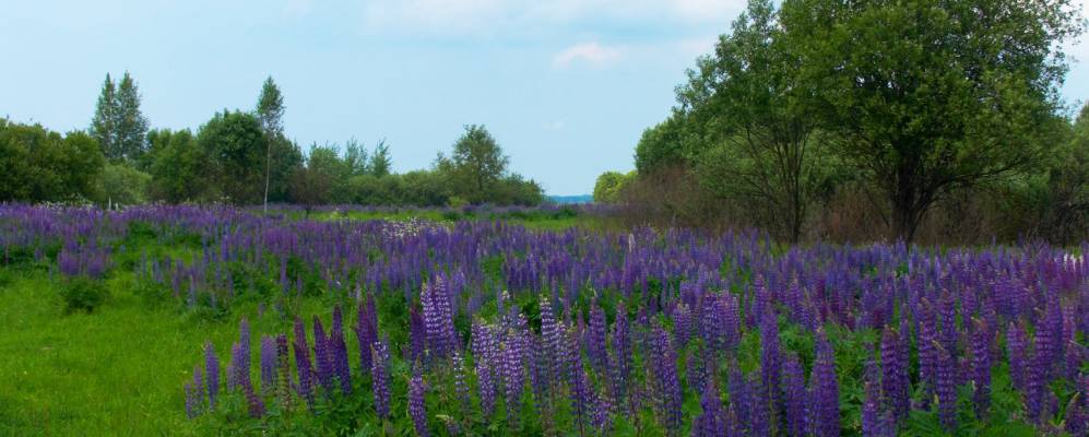 
            Фотография Усошков