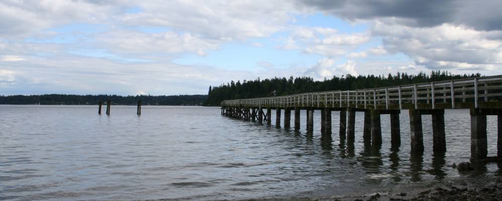 
            Фотография Сакуамиша