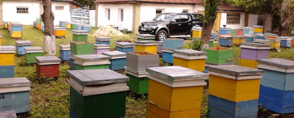 
            Фотография Осово