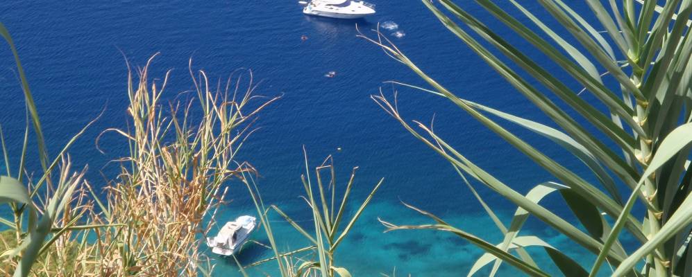 
            Фотография Ставроса