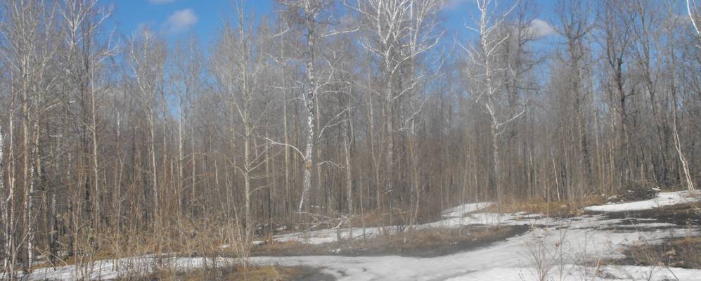 
            Фотография Кузайкино