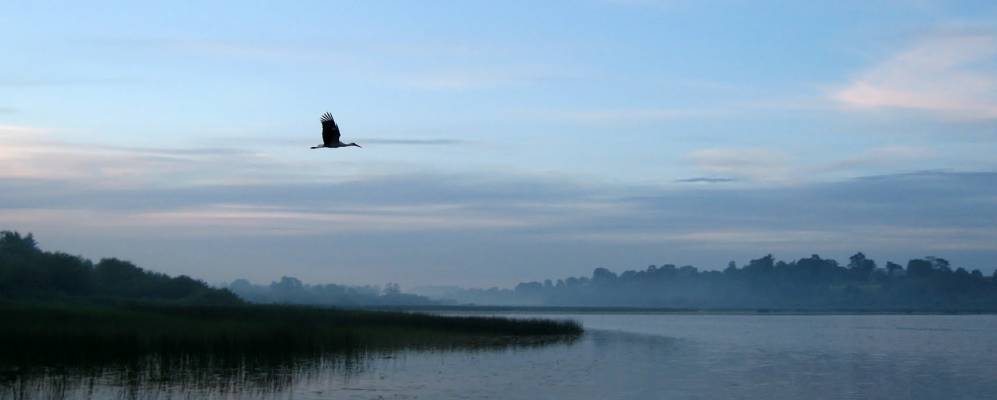 
            Фотография Фралево