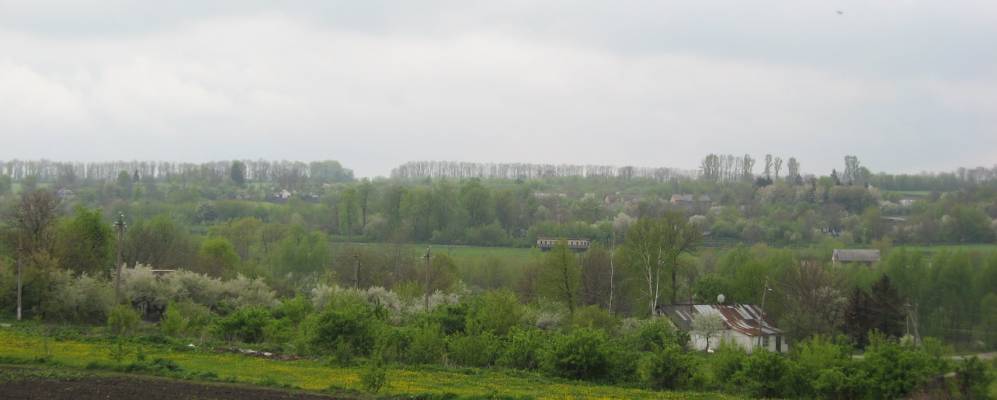 
            Фотография Закриничьего