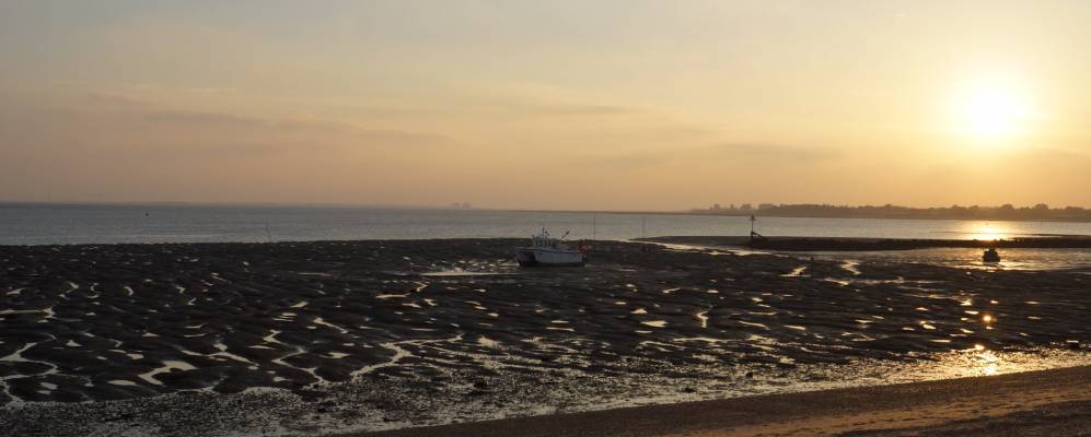 
            Фотография Брайгтлингсеы