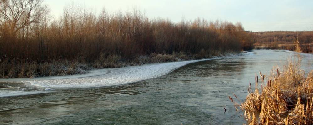 
            Фотография Морозовых Борков