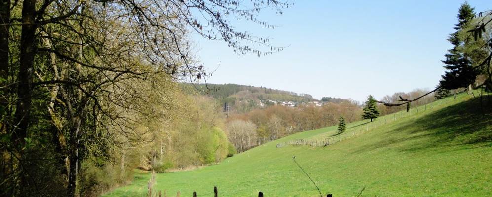 
            Фотография Юнкерата