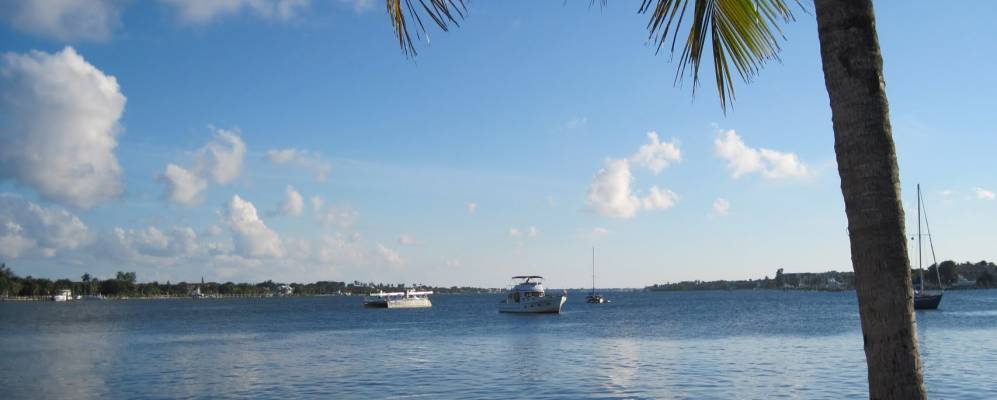 
            Фотография Лантаны