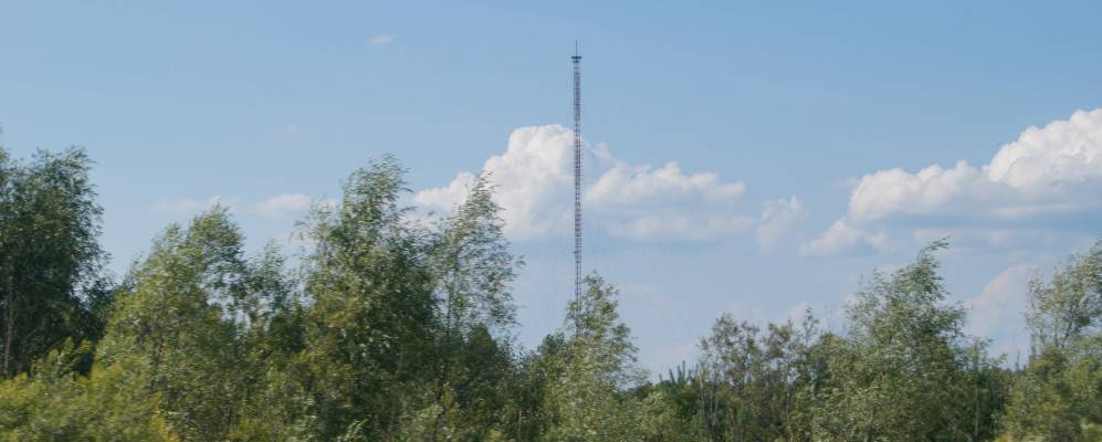 
            Фотография Летних