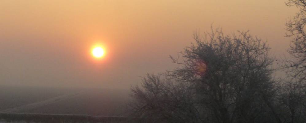 
            Фотография Ногароле Роккы