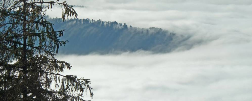 
            Фотография Элуа