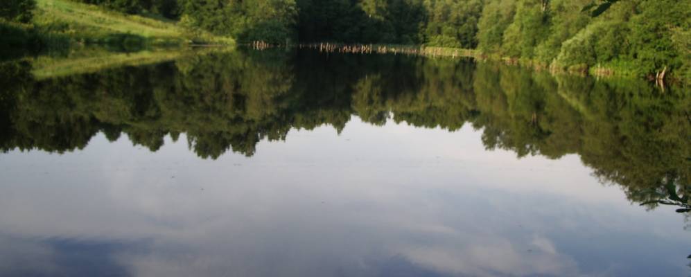 
            Фотография Дедово