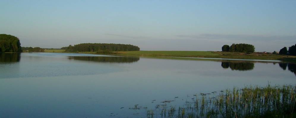 
            Фотография Медведево