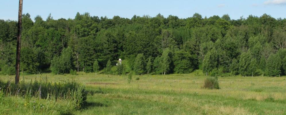 Фотография Кургана
