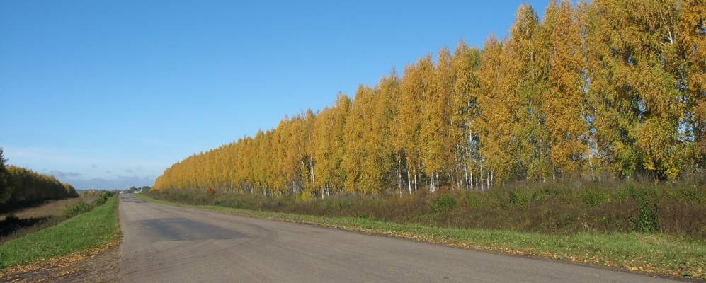 
            Фотография Крутого