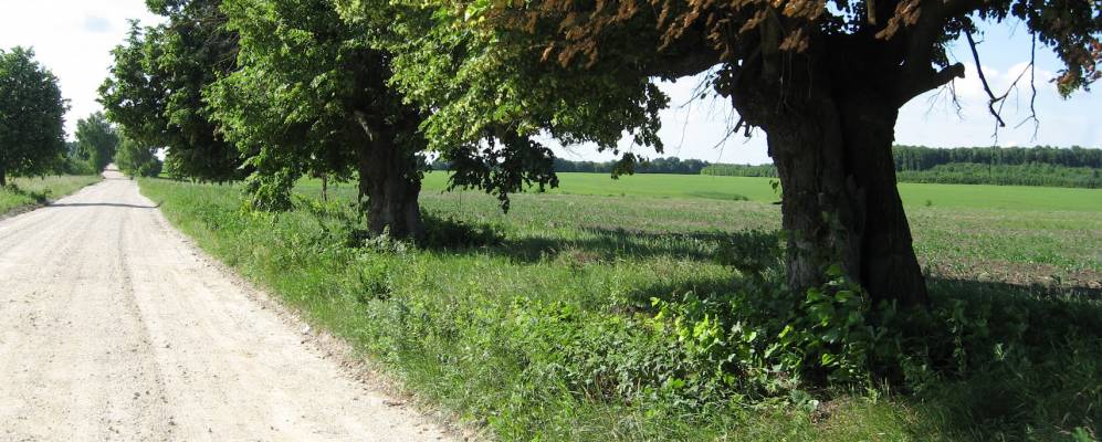 
            Фотография Чечельника