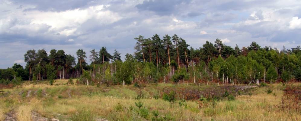 
            Фотография Крещатика