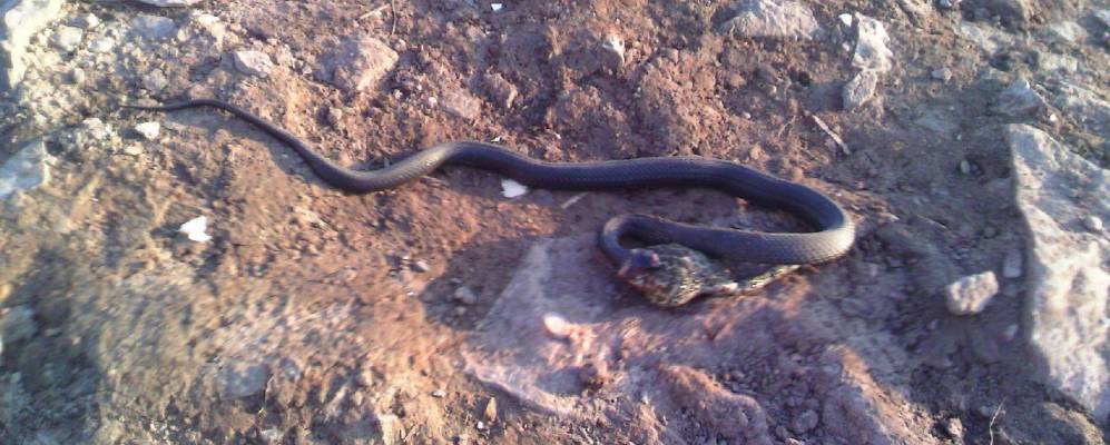 
            Фотография Канлы-Туркеево