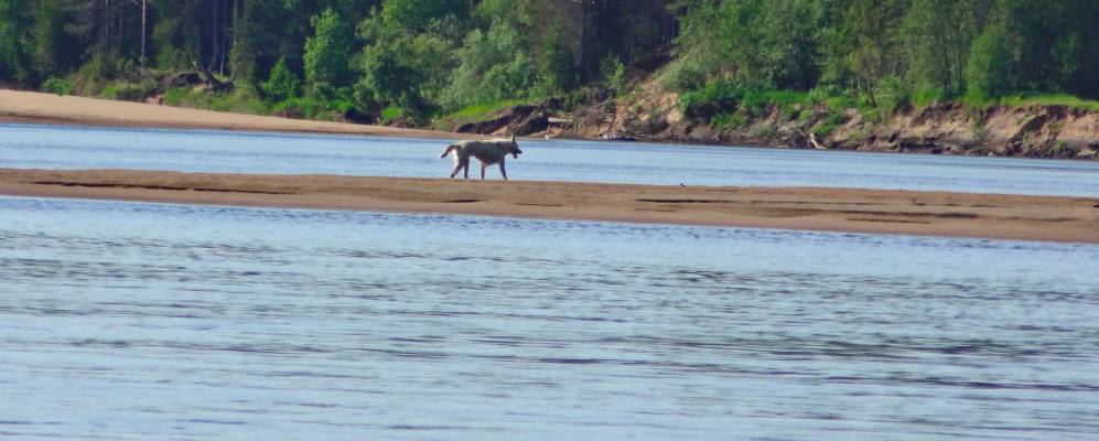 
            Фотография Егошинской