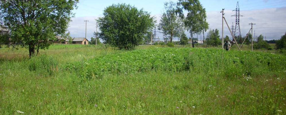 
            Фотография деревни Завруи