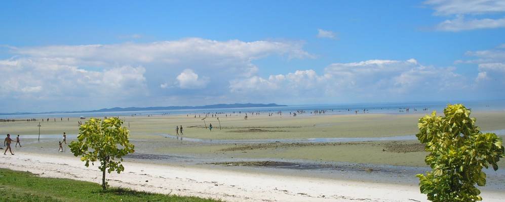 Фотография Саубары