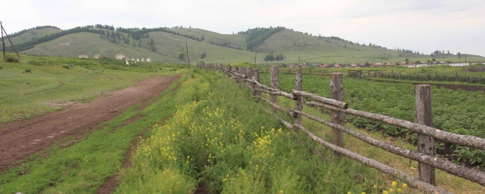 Фотография Сафронова