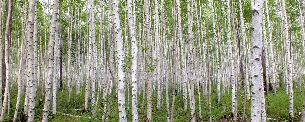 
            Фотография При станции Халан