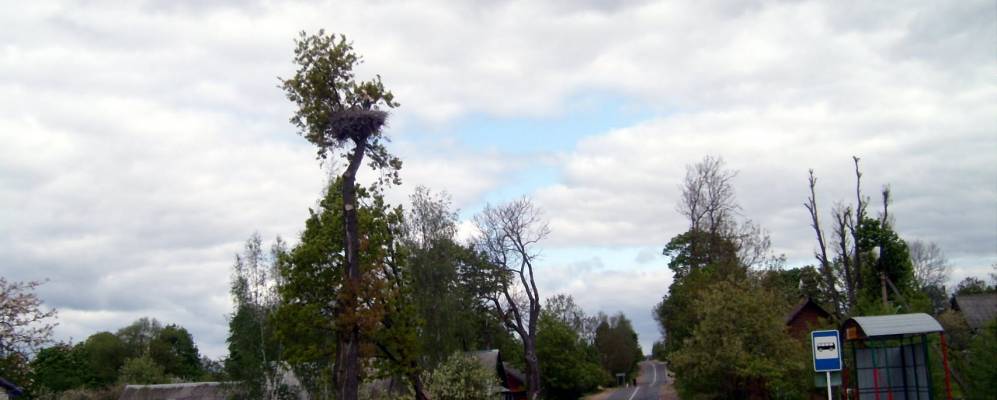 Фотография деревни Дубки