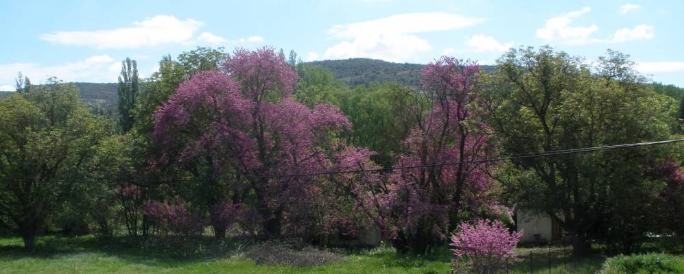 
            Фотография Бреа-де-Тахо