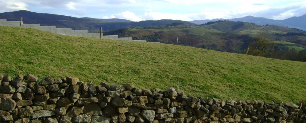 
            Фотография Котилло