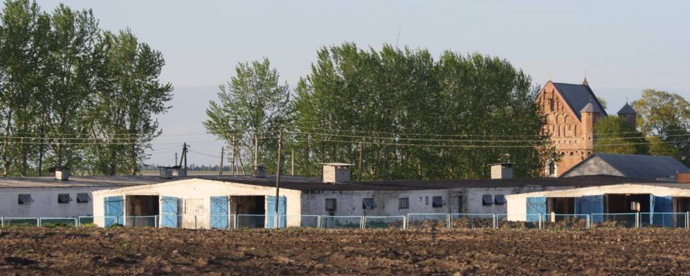 
            Фотография Забогонья