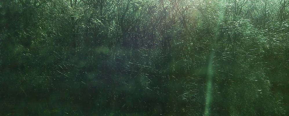 Фотография Куликовского