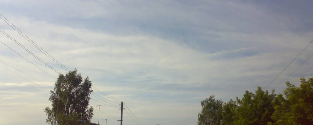 
            Фотография Дашковки