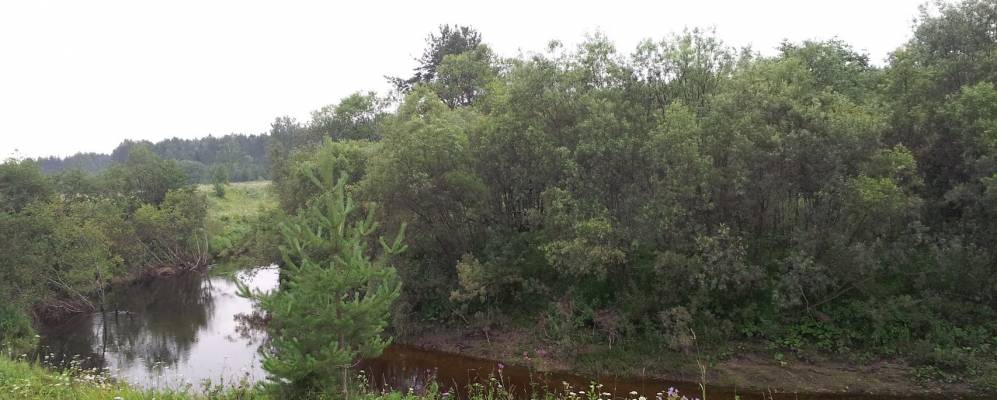 Фотография Палкино