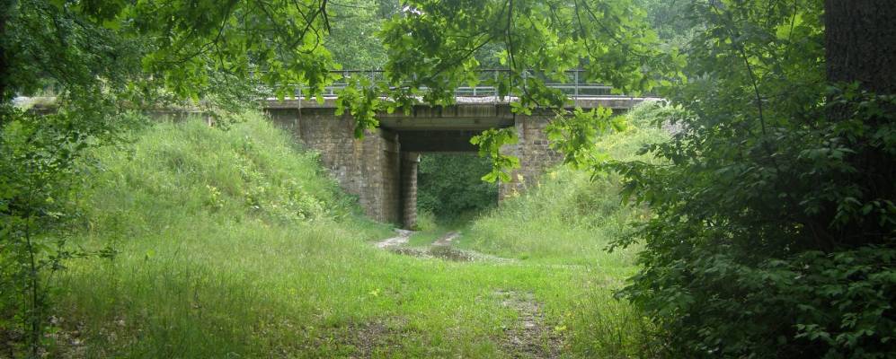 Фотография Сезьки