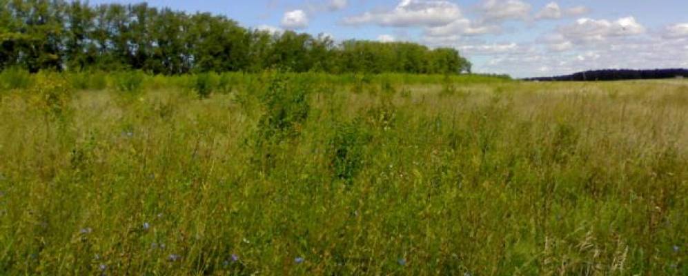 Фотография Профинтерна