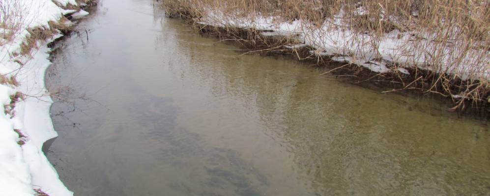 
            Фотография Красного