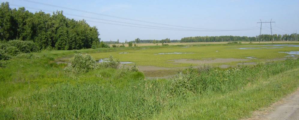 
            Фотография Староберезово