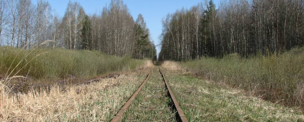 
            Фотография Спирино