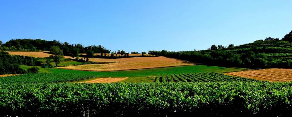 
            Фотография Барбарано-Вичентино