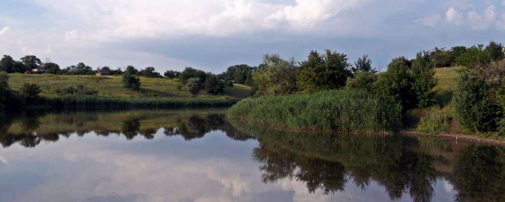 
            Фотография Роговского
