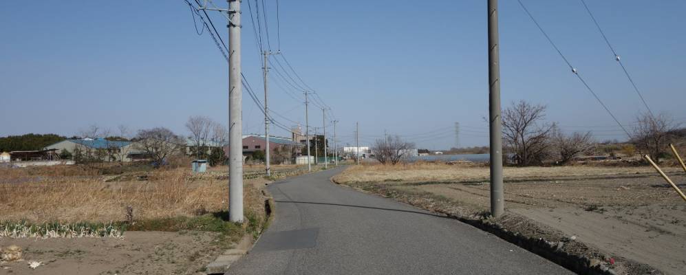 
            Фотография Кодамы