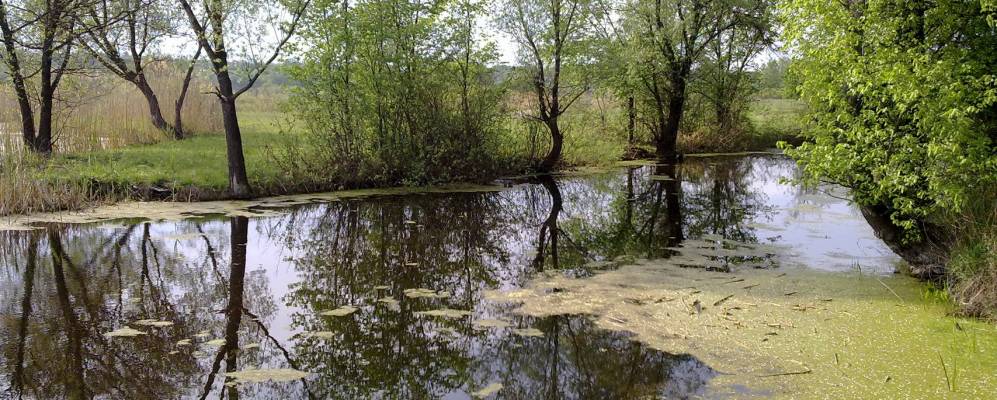 
            Фотография Петракеевки
