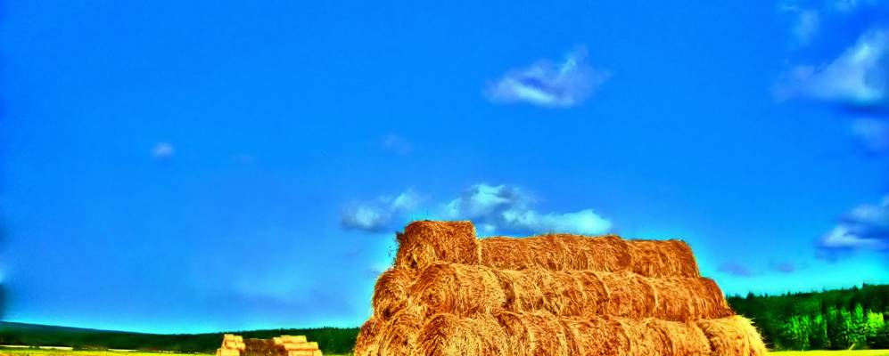 
            Фотография Половинного