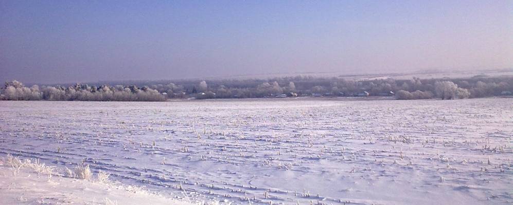 Фотография Новой Жизни