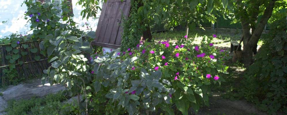 
            Фотография Ковтуновки