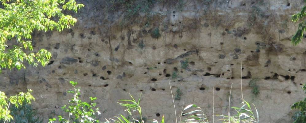 Фотография Преображенки