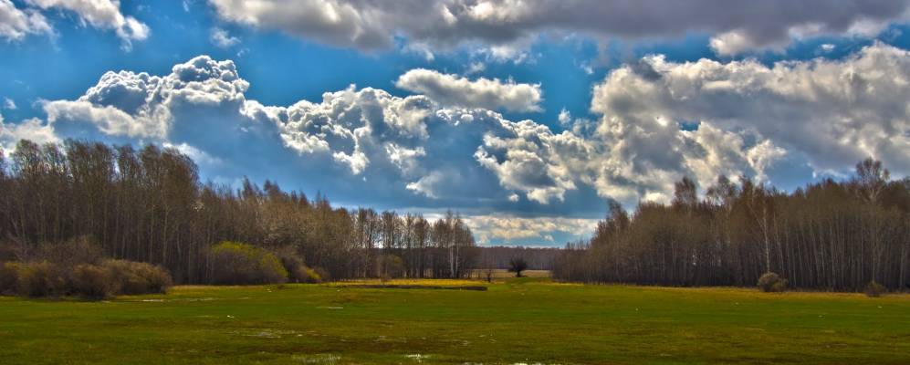 
            Фотография Индейки (Березовского)