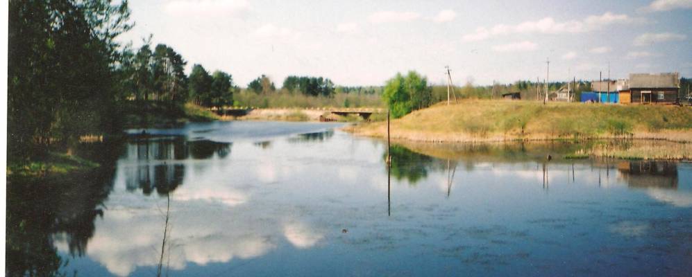 
            Фотография Новоселков